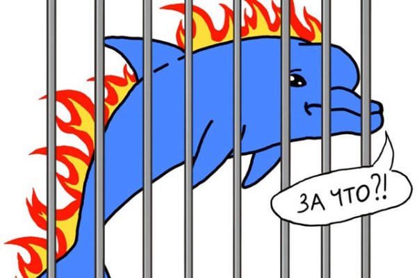 Найти ссылку на кракен