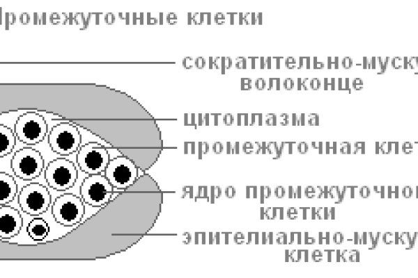 Ссылка на кракен в тор браузере kr2web in