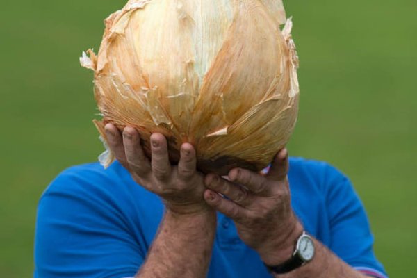 Kraken ссылка onion 2kmp