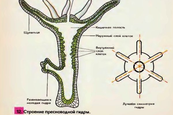 Активная ссылка на кракен